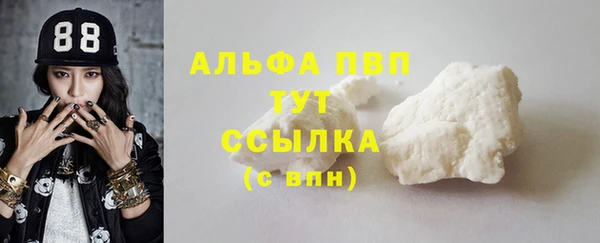 шишки Мегион