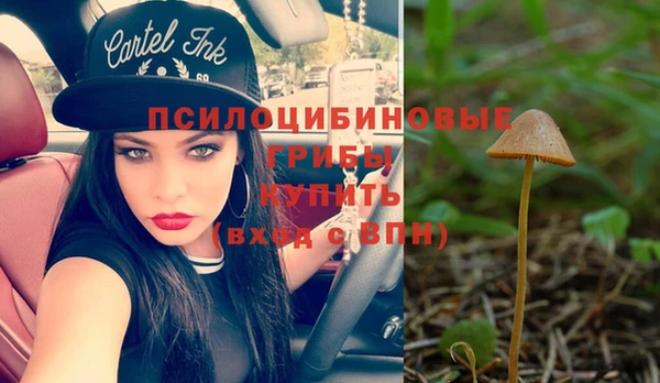 наркотики Медвежьегорск