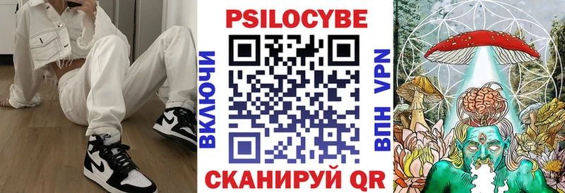 закладка  Кандалакша  Псилоцибиновые грибы Psilocybine cubensis 