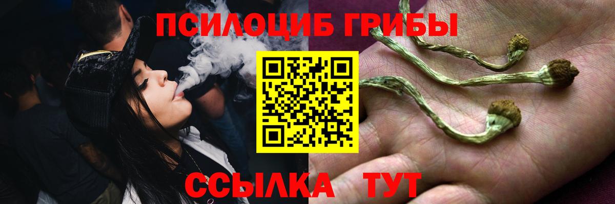 Галлюциногенные грибы мицелий Кандалакша