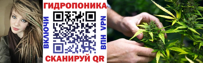 Бошки Шишки сатива Кандалакша