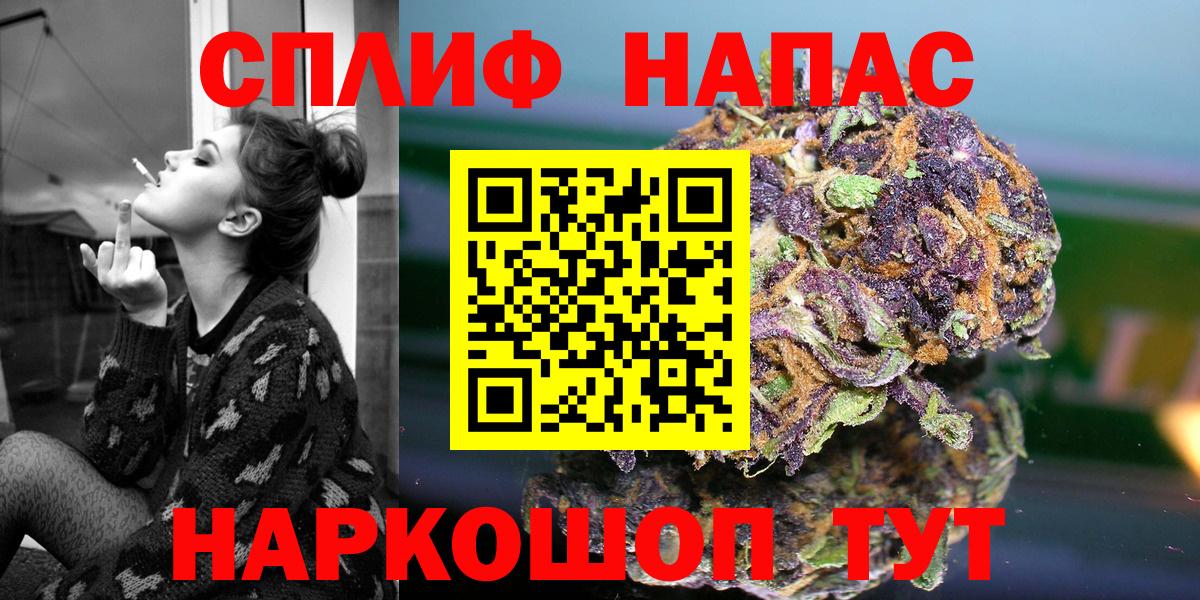 Бошки Шишки планчик Кандалакша